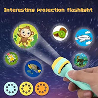 
              NHR Mini Projector Flashlight Toy with 3 Slides 24 Random Patterns for Kids, Flashlight Projector torch for kids, Learning Flashlight Toy, Torch for Kids, Projector Torch for Kids, Light Toys, Flashlight Lamp, Torch Toy (Multicolor, Set of 2)
            