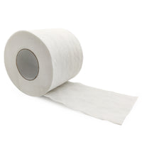 Caretouch 2 Ply Toilet Tissue Rolls