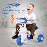 
              Dash Teddy Foldable Tricycle for Kids, Baby Cycle, Kids Cycle, Tricycle for Kids for 1 Years to 3 Years with Light and Music (Capacity 20Kg | Blue)
            